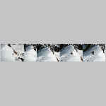 012 Multi photo Yvi en action .jpg